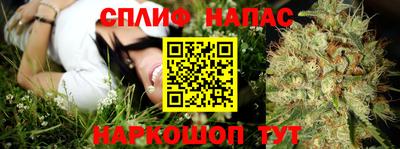 индика Заволжье