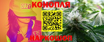 индика Заволжье
