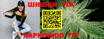 индика Заволжье