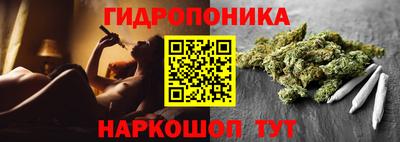 индика Заволжье