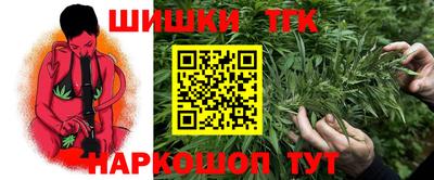 индика Заволжье