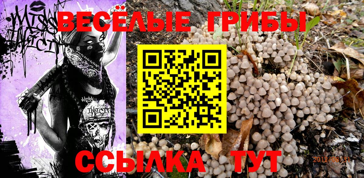 дарнет шоп  Галлюциногенные грибы прущие грибы  Вход с VPN  Краснознаменск 